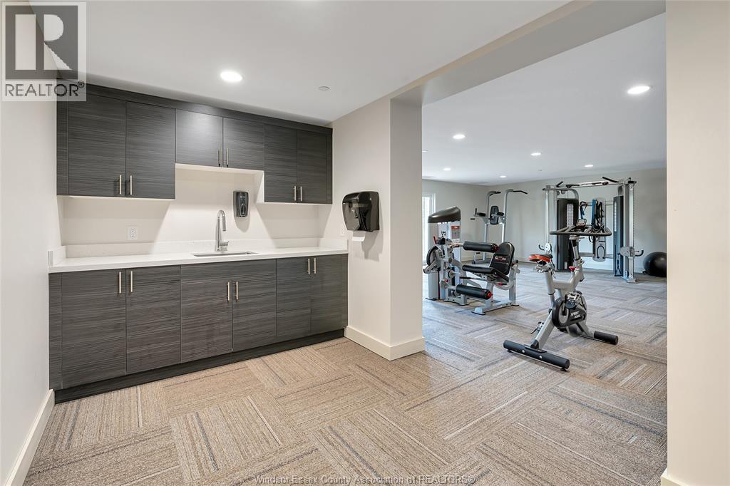 1675 Banwell Road Unit# 705, Windsor, ON - Indoor Photo Showing Gym Room