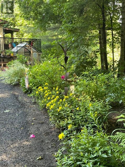 236 Hoodstown Road, Huntsville (Stisted), ON - Outdoor