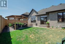 Backyard -