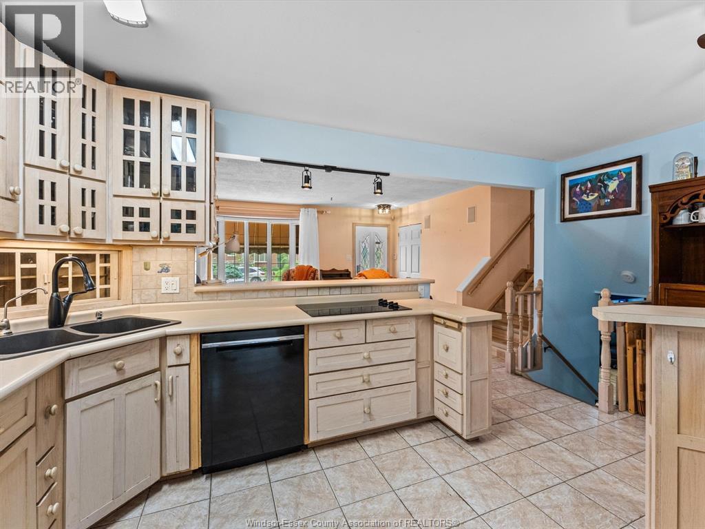 5564 Baldwin Avenue, Windsor, ON - Indoor Photo Showing Kitchen With Double Sink