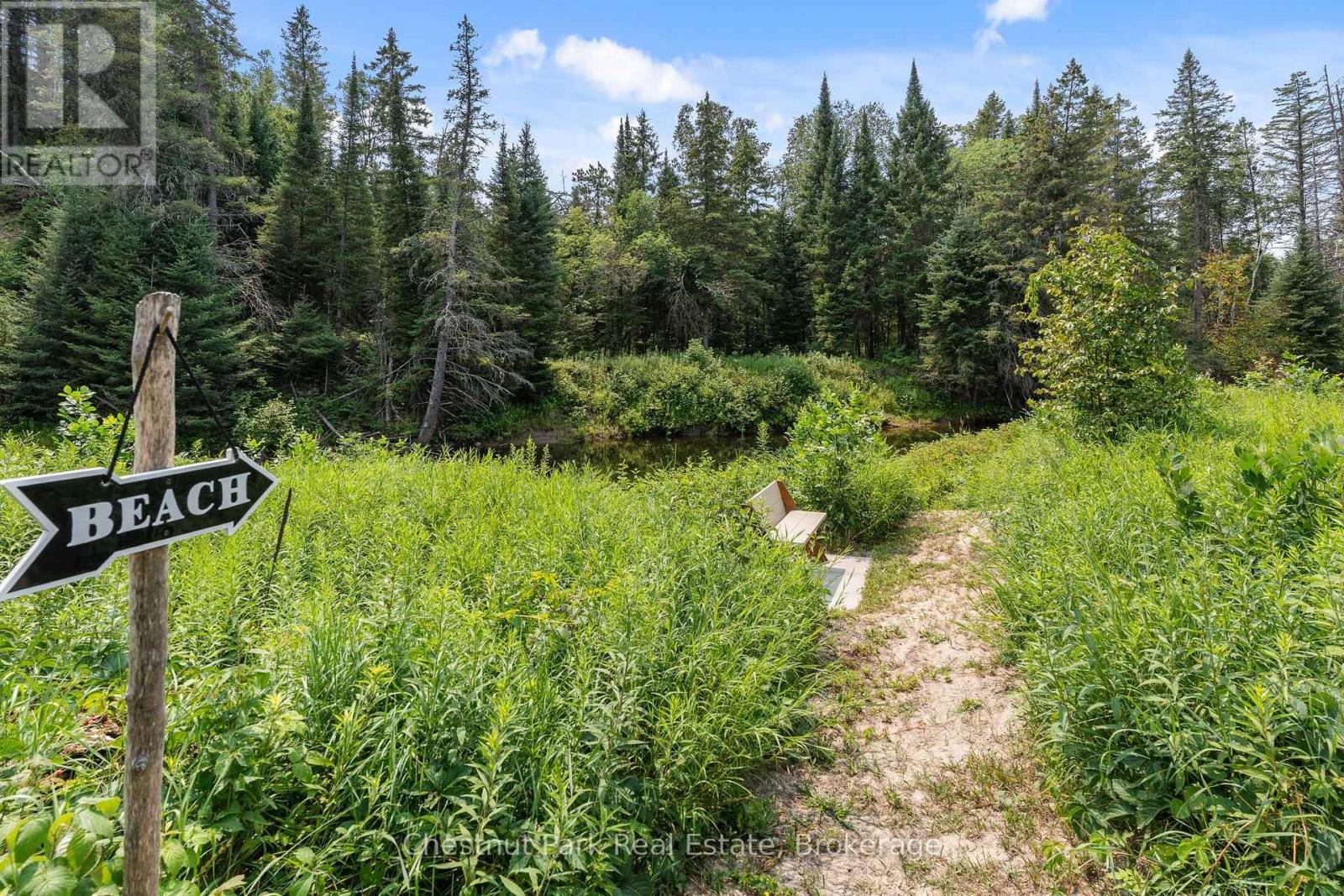 To the Beach - 8488 County Road 503 Road, Highlands East (Glamorgan), ON - Outdoor