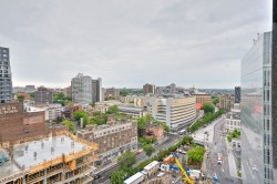 View -