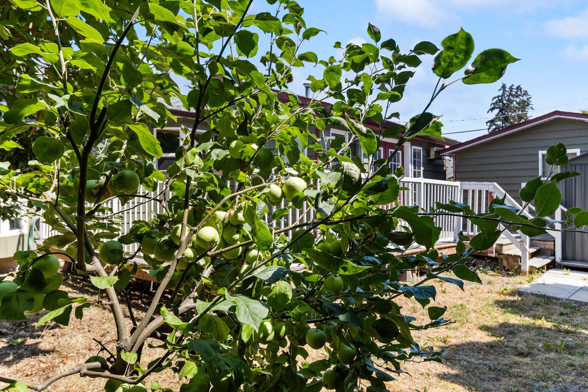 925 Sutherland Avenue, Kelowna, BC - Outdoor