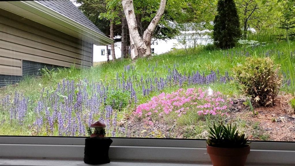 47 New Harbour Road, Spaniards Bay, NL - Outdoor