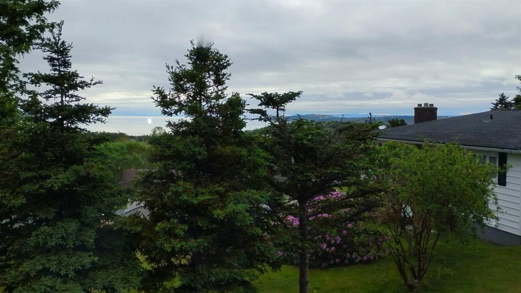 47 New Harbour Road, Spaniards Bay, NL - Outdoor With View