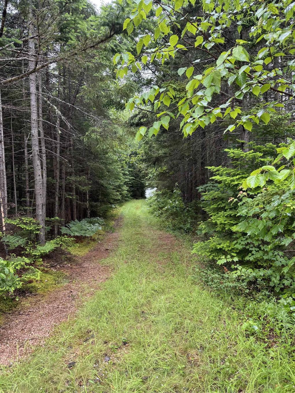 520 Falkenham Road, East Dalhousie, NS