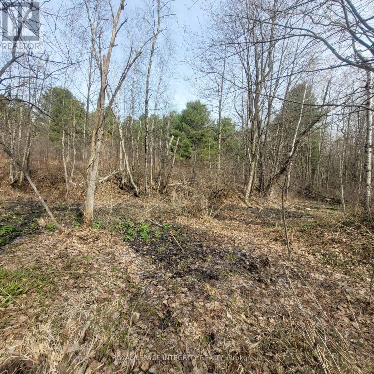 great for nature lovers - 53 Beaver Lane, The Nation, ON - Outdoor With View
