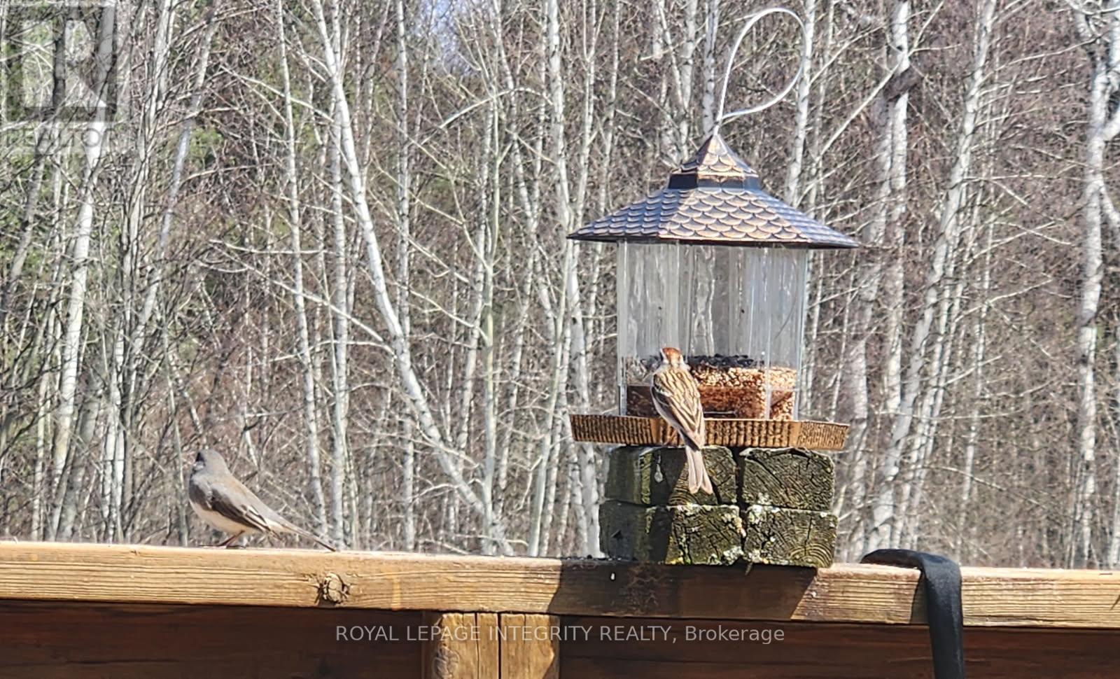 great outdoor space - 53 Beaver Lane, The Nation, ON - Outdoor