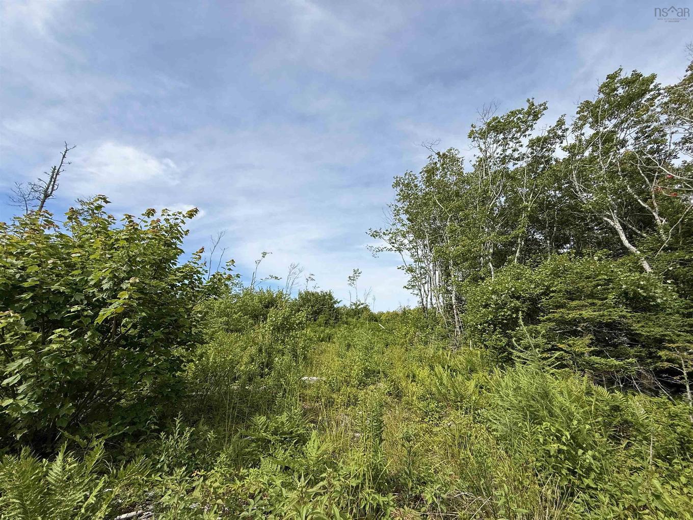 Lot Dargie Cove Rd, Beaver River, NS