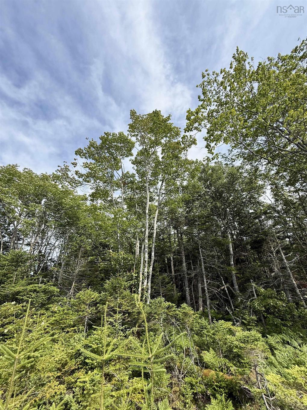 Lot Dargie Cove Rd, Beaver River, NS