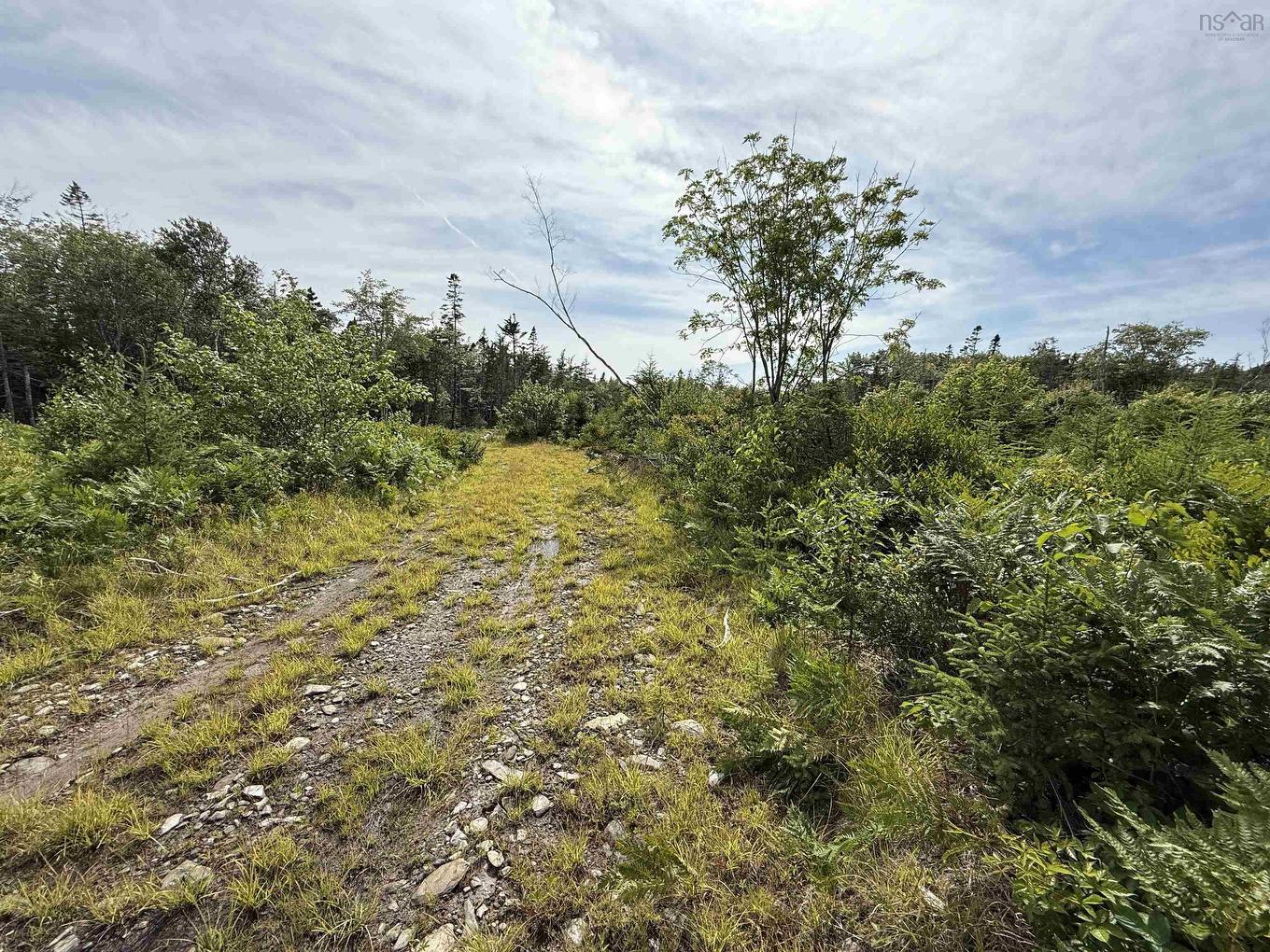Lot Dargie Cove Rd, Beaver River, NS