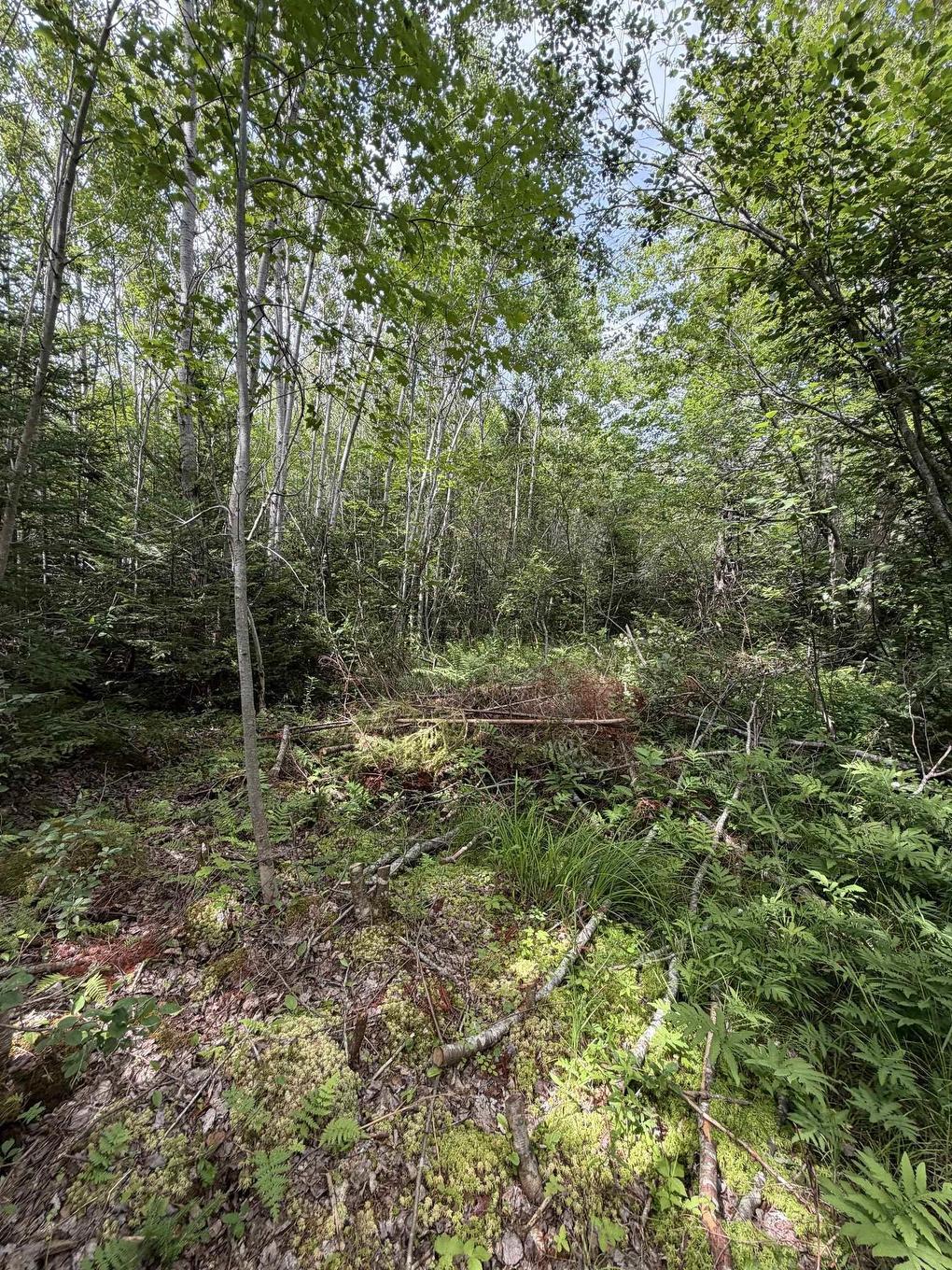 Lot 2026 Perotte Road, Perotte, NS