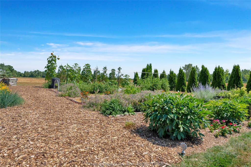 3894 St Clair Parkway, Port Lambton, ON - Outdoor