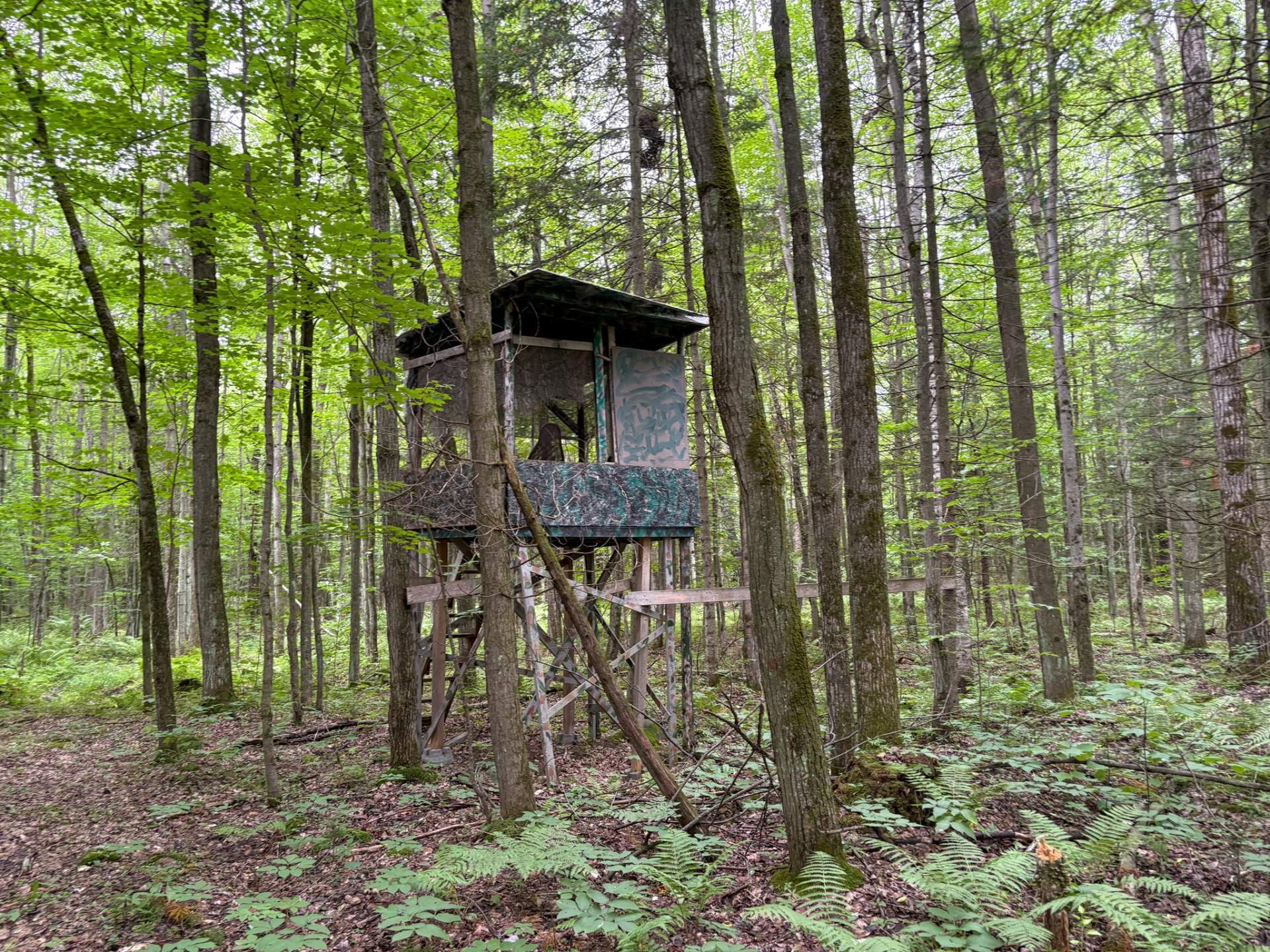 Woodland - 5E Rang O., Saint-Majorique-De-Grantham, QC