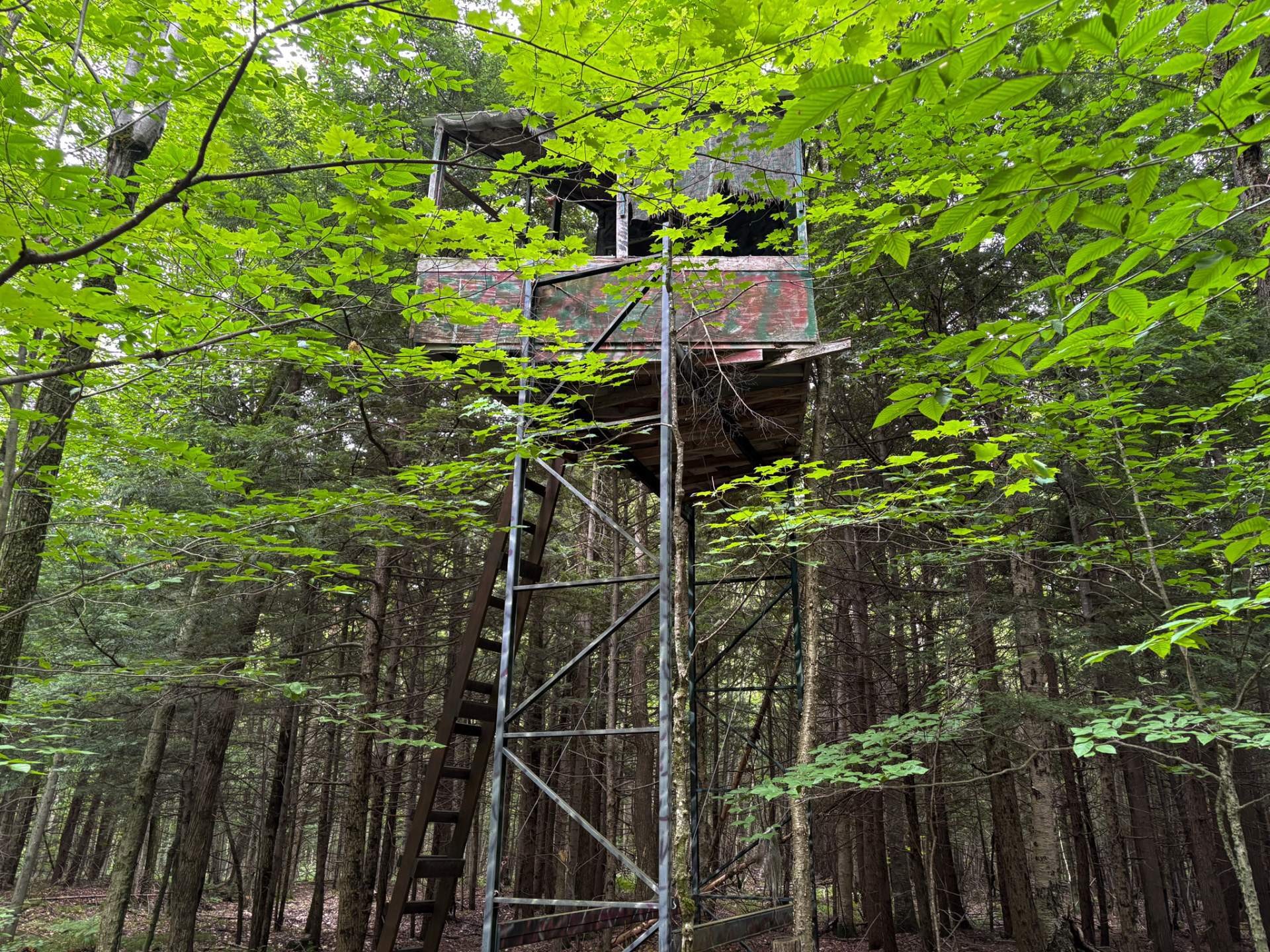 Woodland - 5E Rang O., Saint-Majorique-De-Grantham, QC