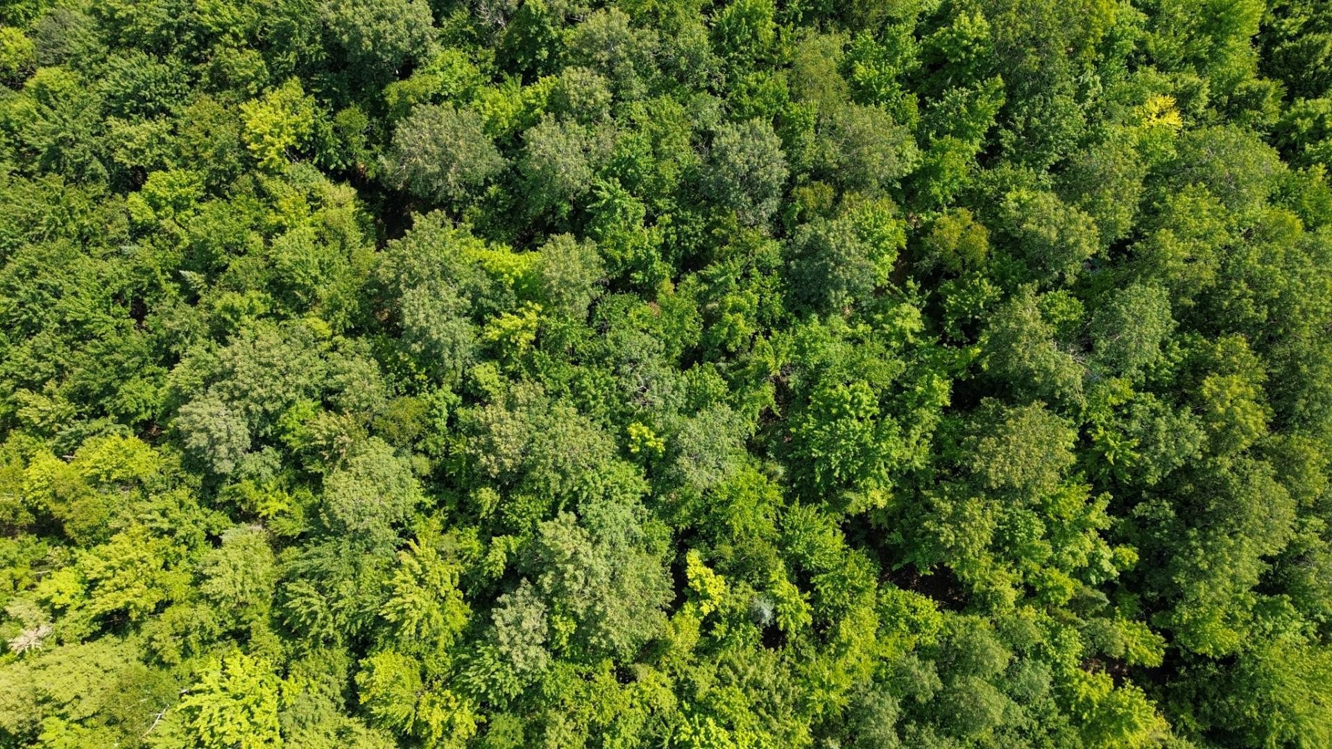 Aerial View - 5E Rang O., Saint-Majorique-De-Grantham, QC