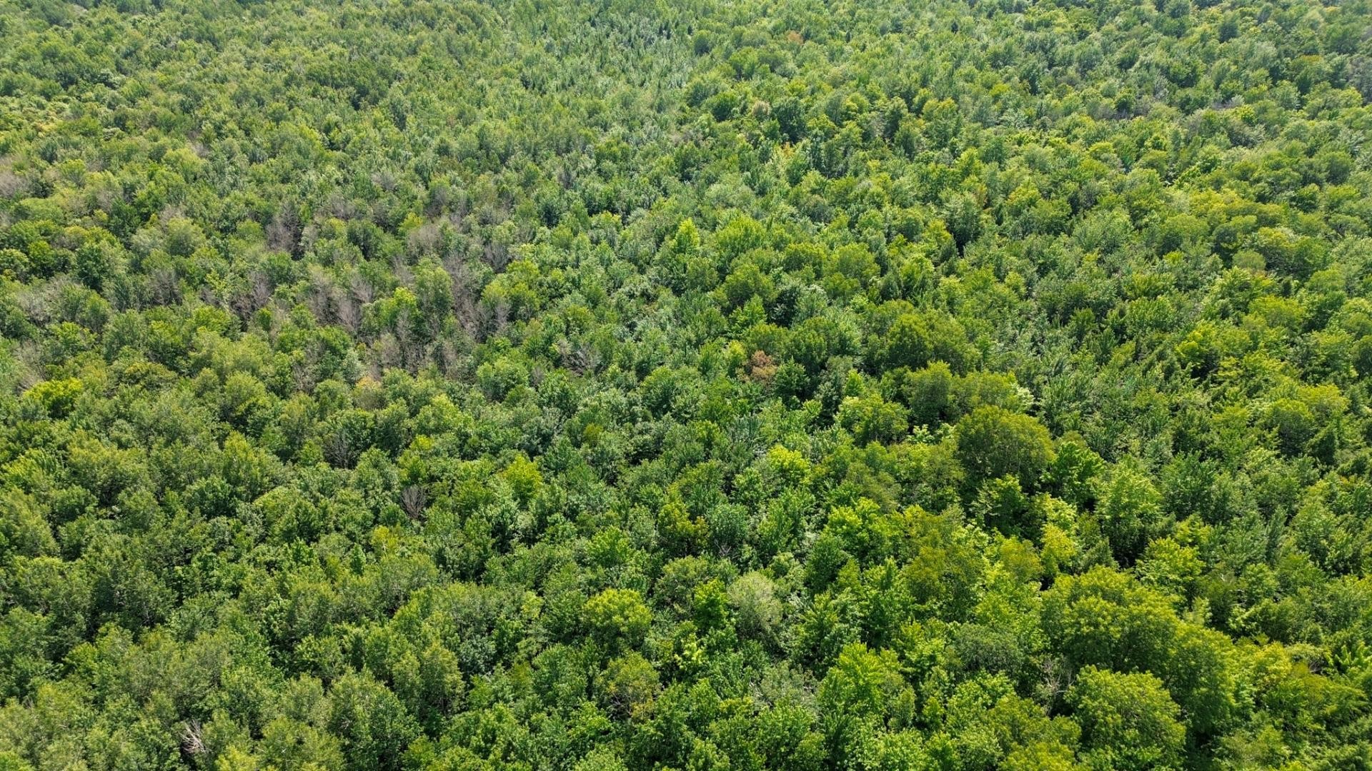 Aerial View - 5E Rang O., Saint-Majorique-De-Grantham, QC