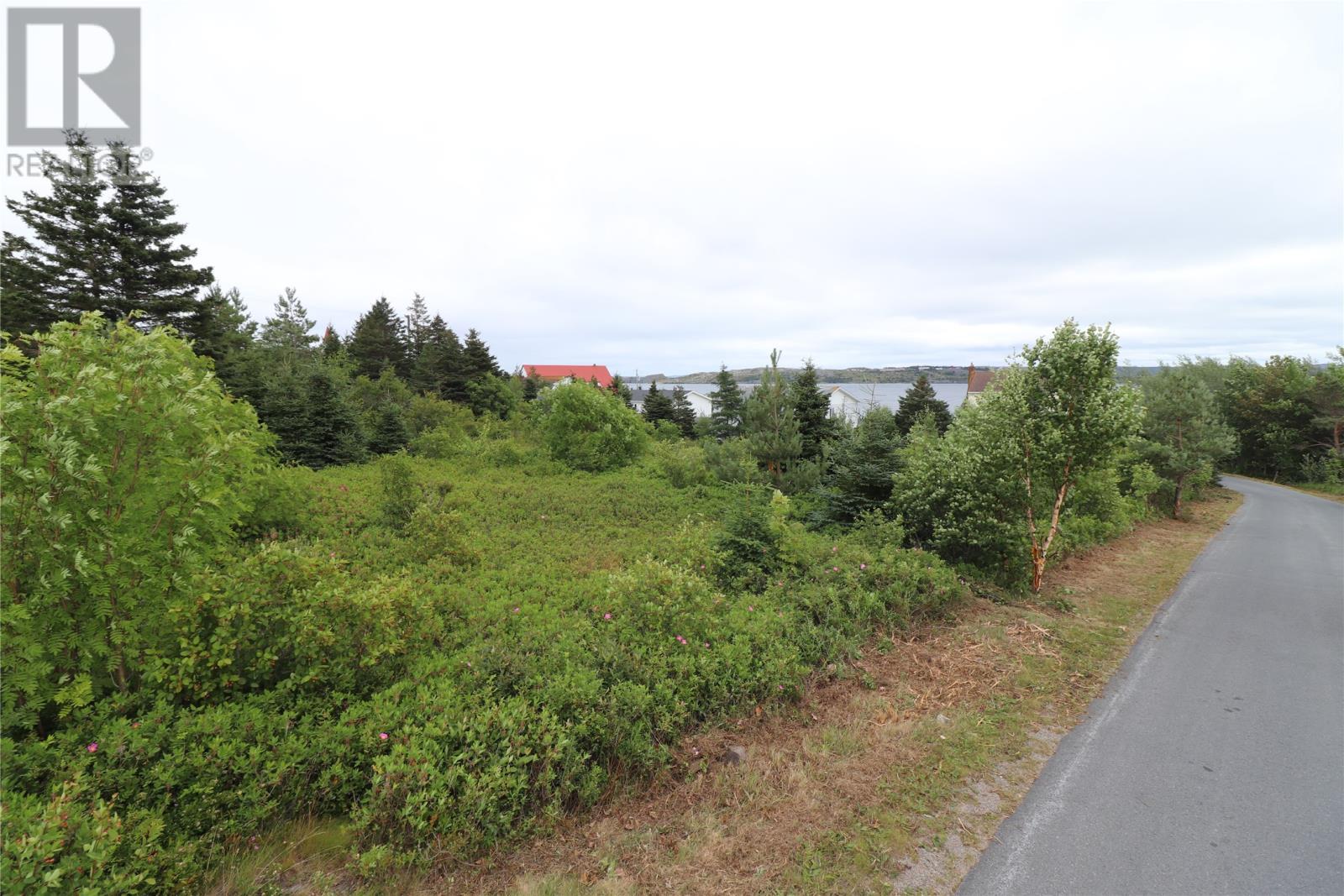 16 Hardings Lane, Bay Roberts, NL