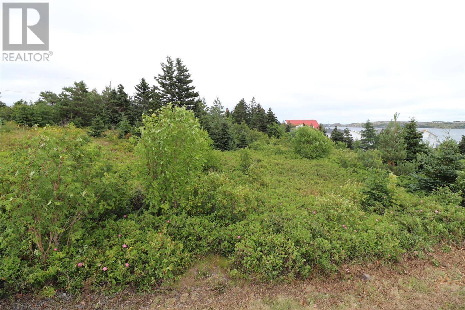 16 Hardings Lane, Bay Roberts, NL