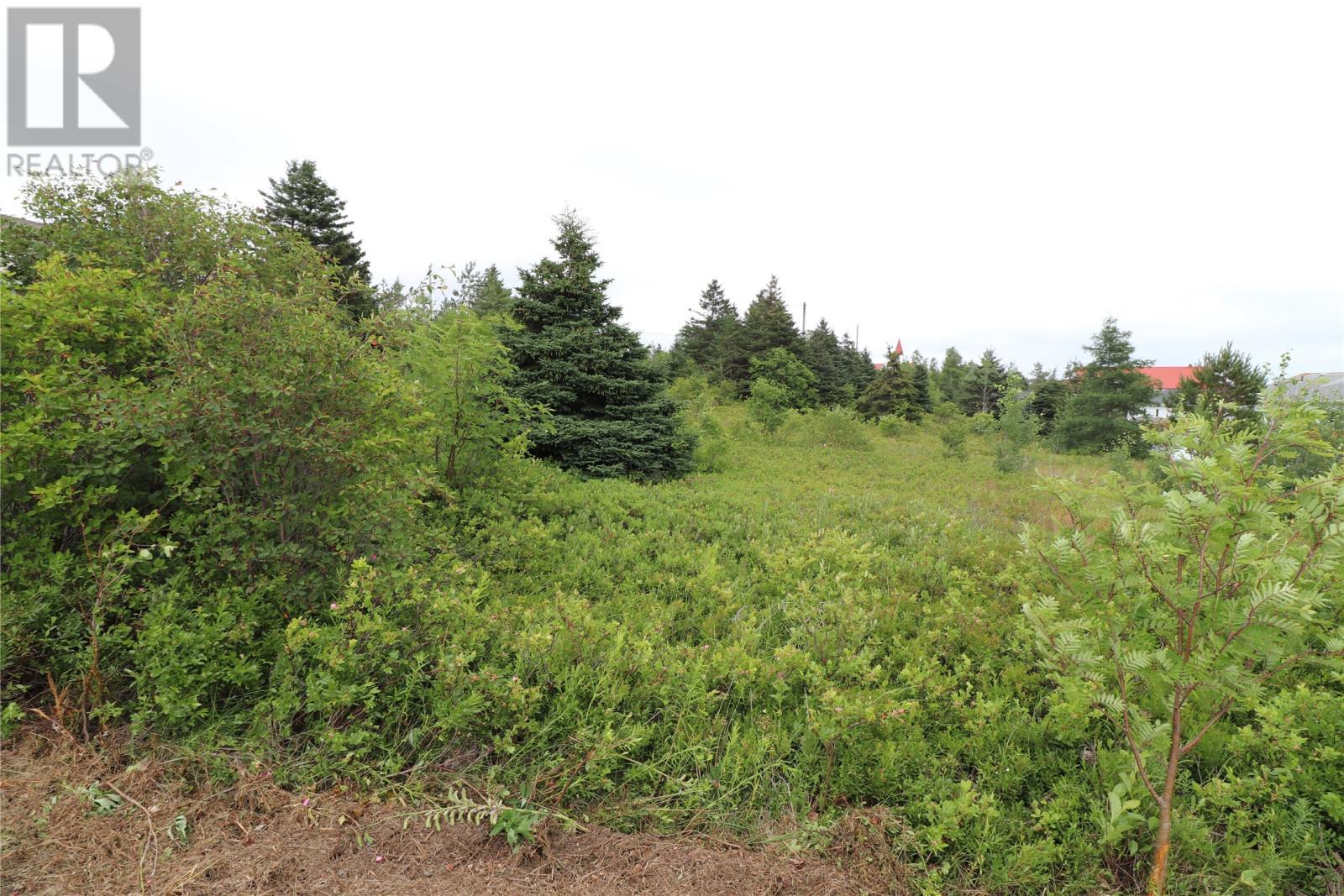 16 Hardings Lane, Bay Roberts, NL