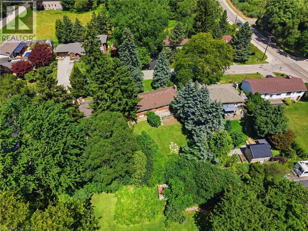 Sprawling property featuring a verdant landscape with mature trees - 524 Dorval Drive, Ancaster, ON - Outdoor