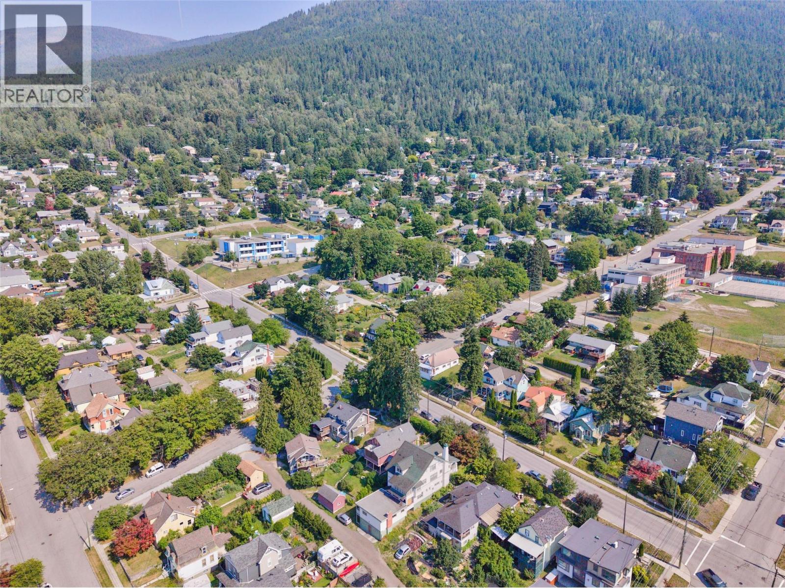 1011 Hall Street, Nelson, BC - Outdoor With View