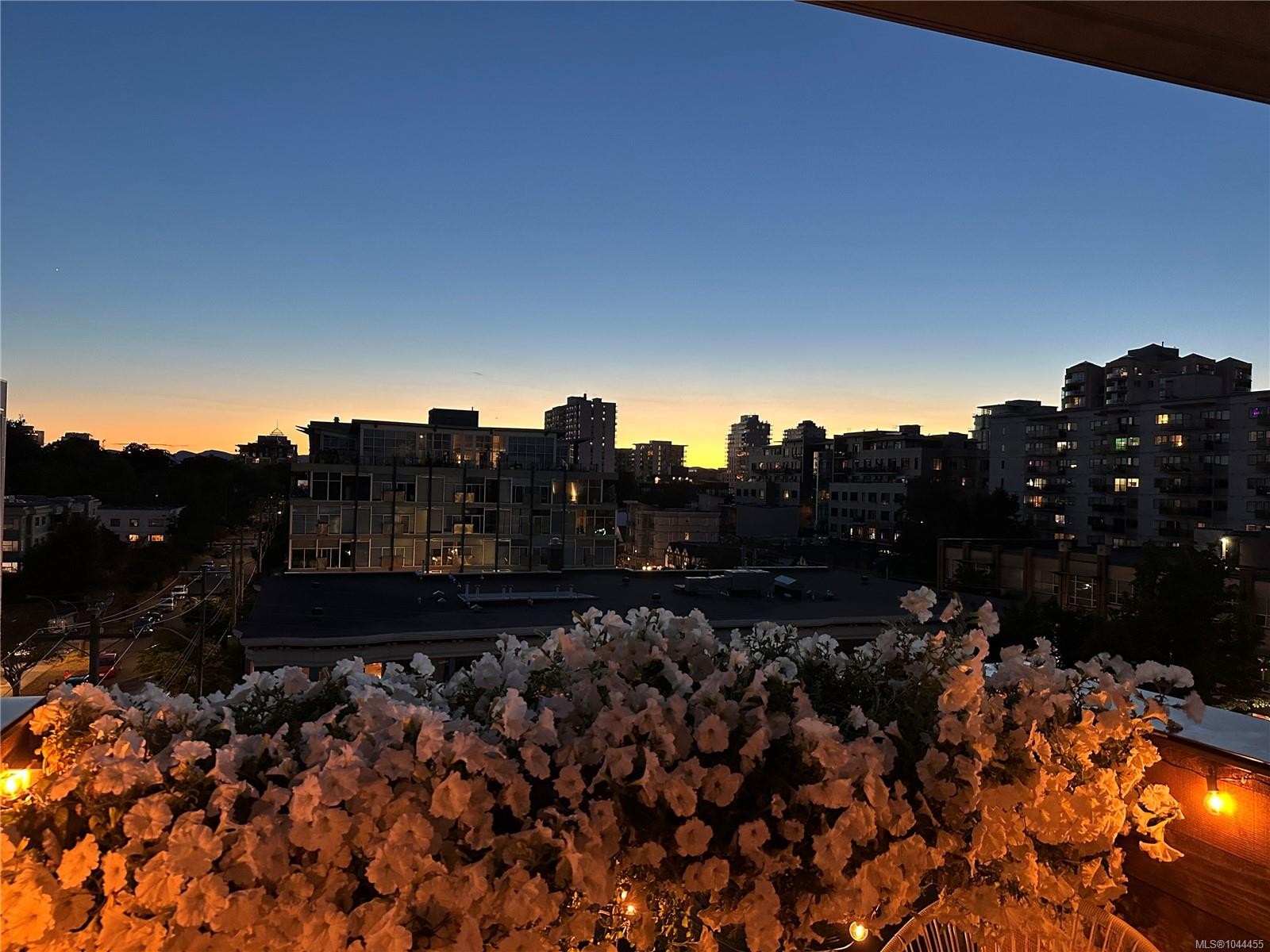#502-1033 Cook St, Victoria, BC - Outdoor With View