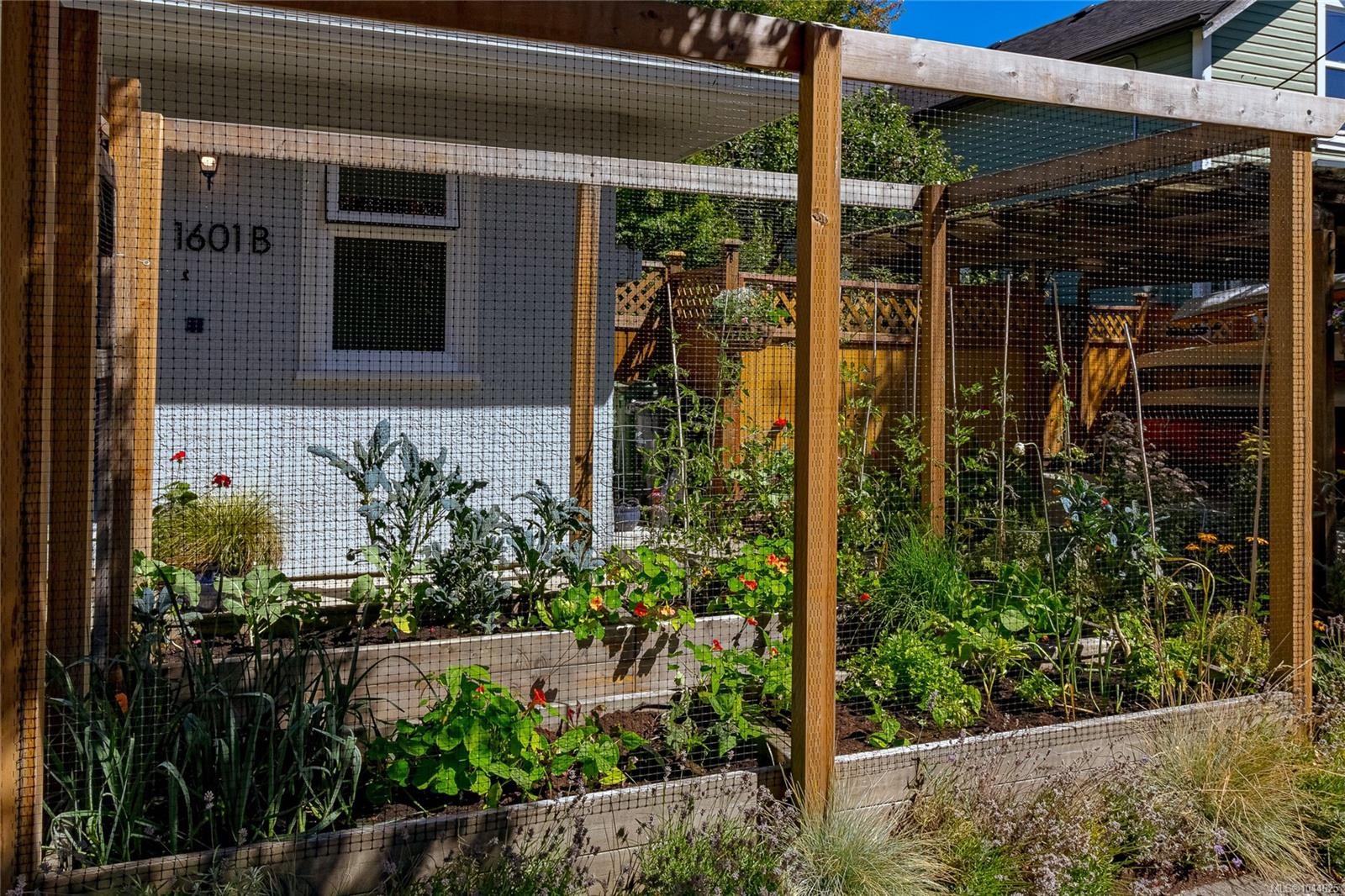 #B-1601 Haultain St, Victoria, BC - Outdoor