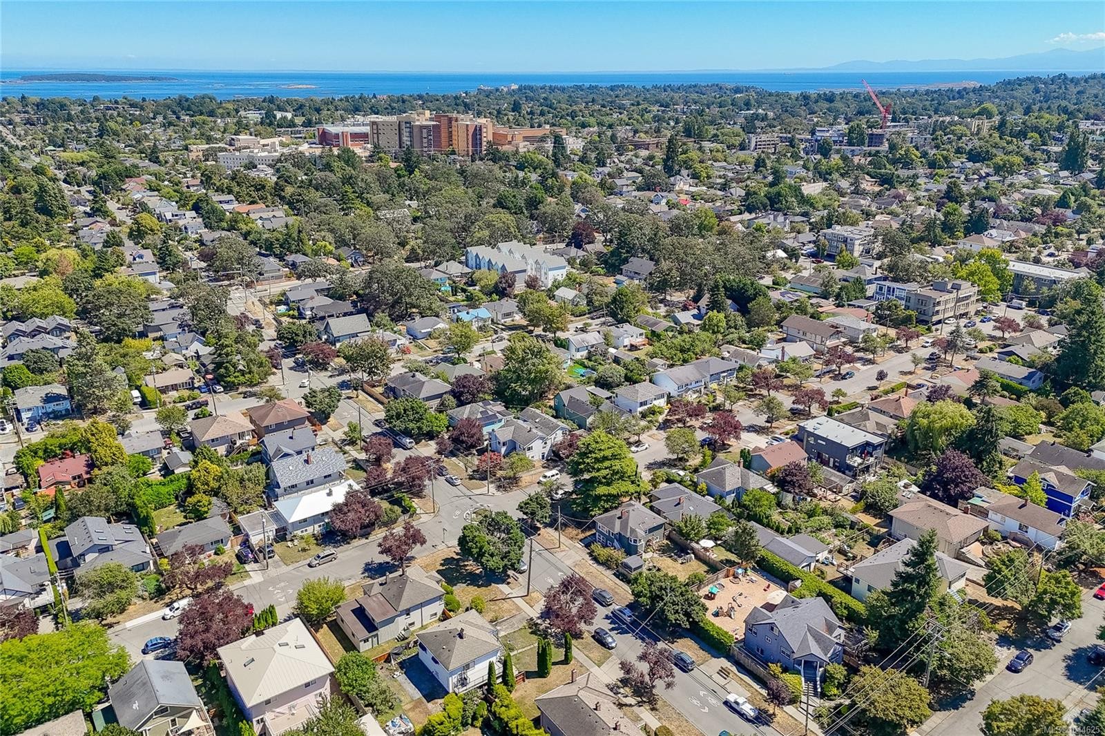 #B-1601 Haultain St, Victoria, BC - Outdoor With View
