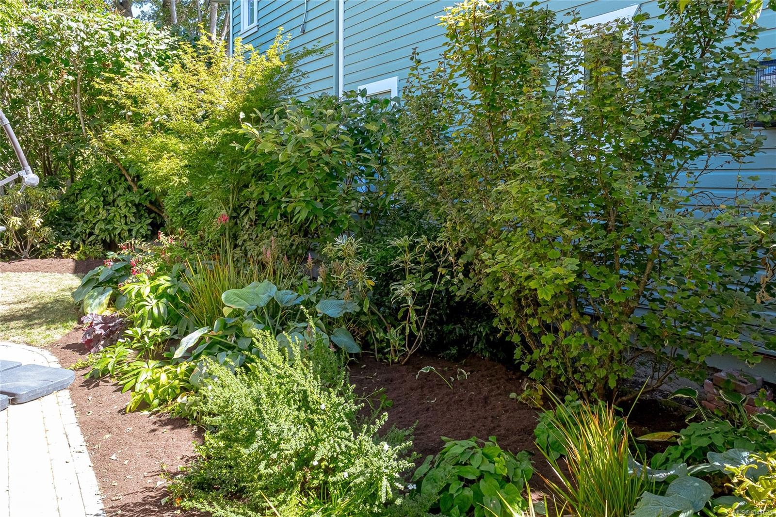 #B-1601 Haultain St, Victoria, BC - Outdoor