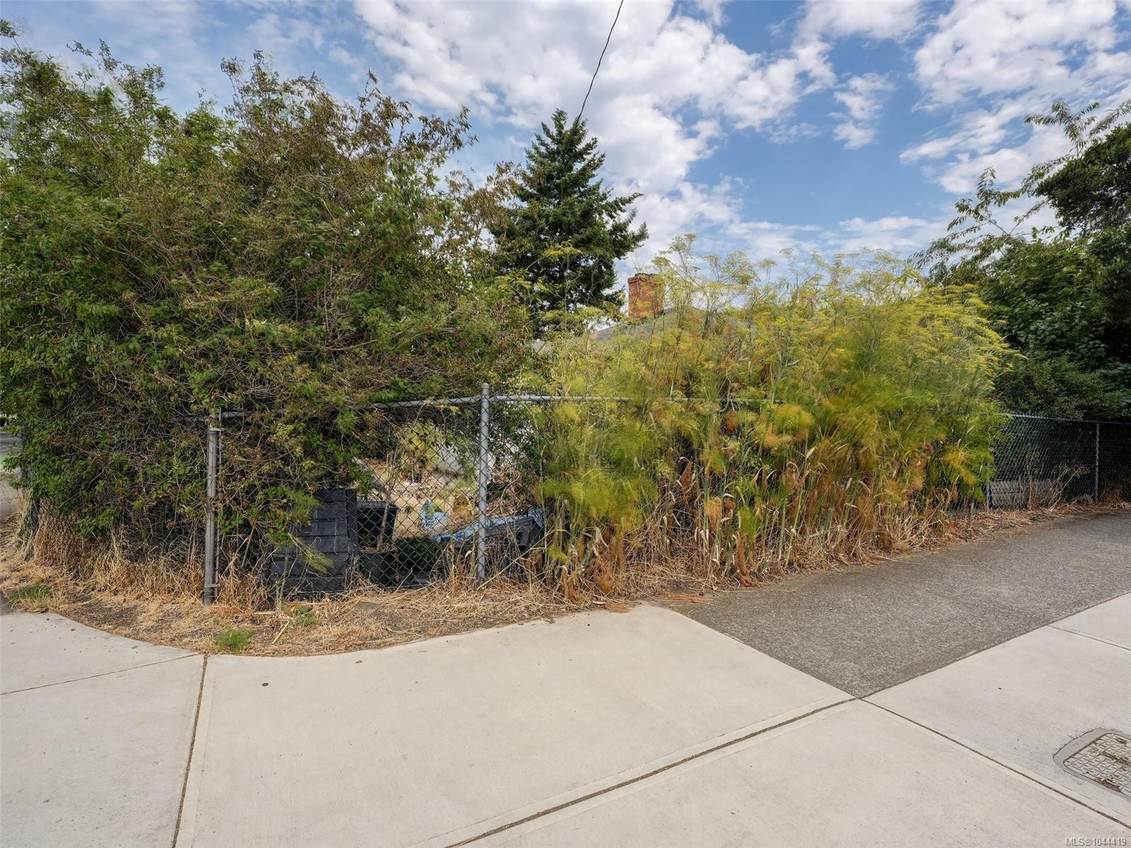2607 Shelbourne St, Victoria, BC