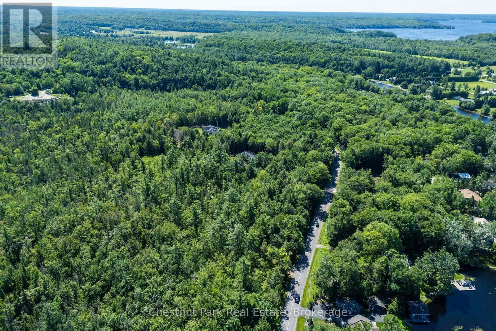 Heavily forested on this road - 1461 Golden Beach Road, Bracebridge (Monck (Bracebridge)), ON
