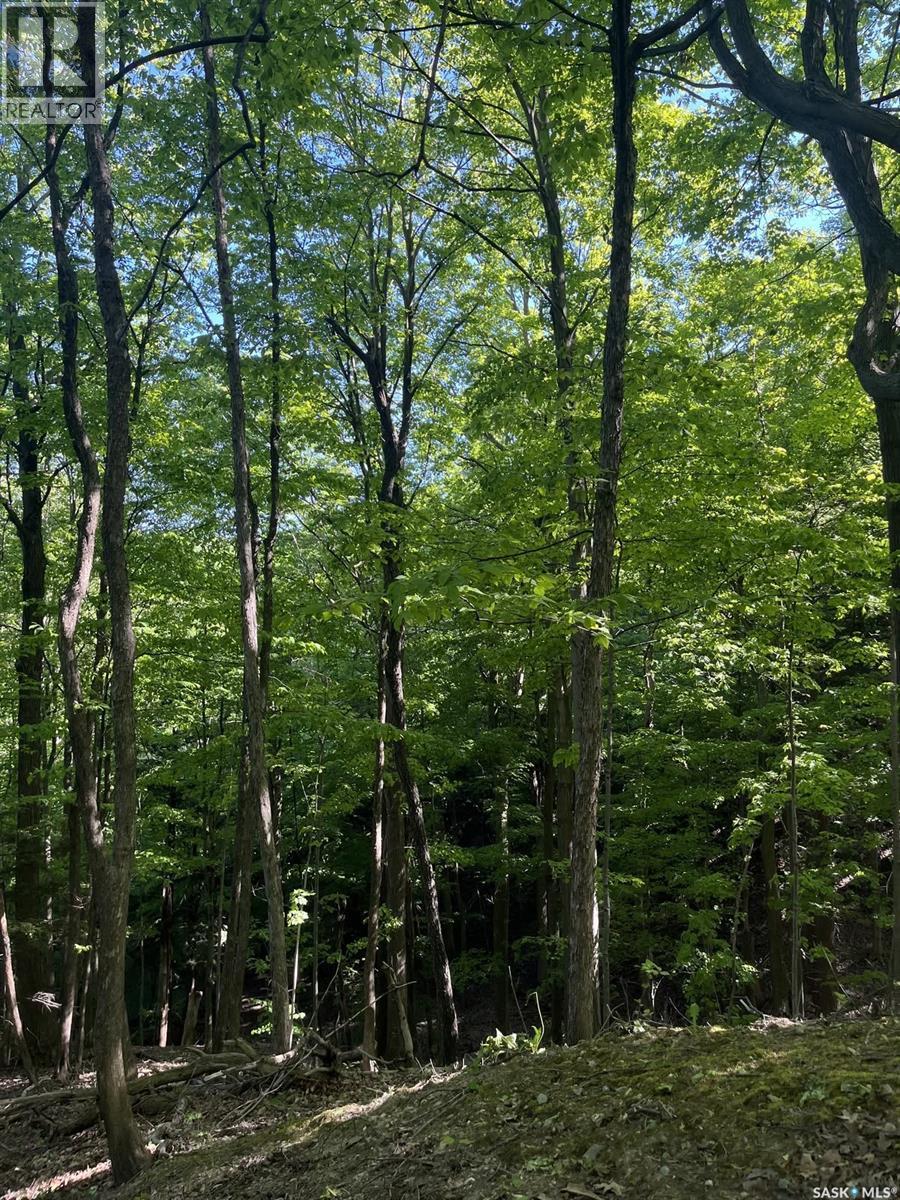 Tallon Land, Moose Range Rm No. 486, SK