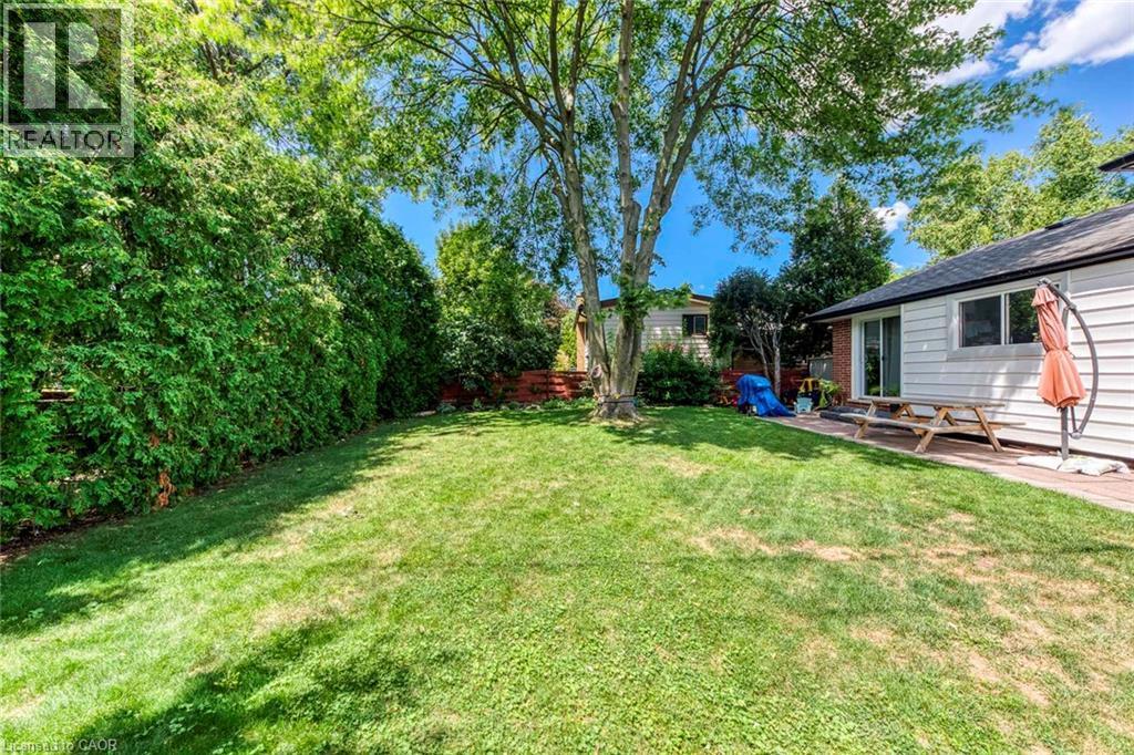 Expansive backyard featuring a lush lawn, mature trees, and a privacy hedge - 356 Dunlop Crescent, Burlington, ON - Outdoor