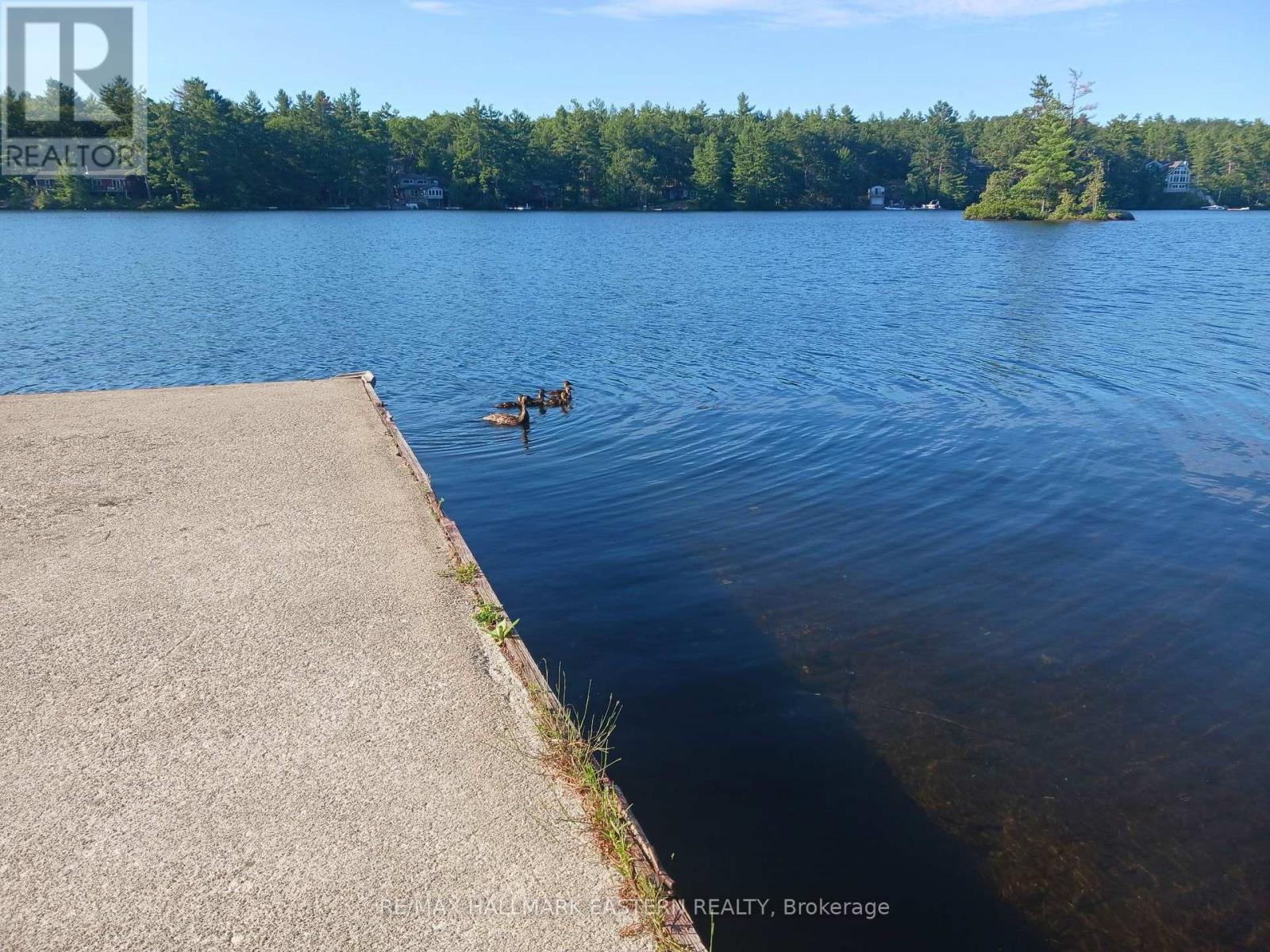 17 Fire Route 92A, Havelock-Belmont-Methuen (Belmont-Methuen), ON - Outdoor With Body Of Water With View