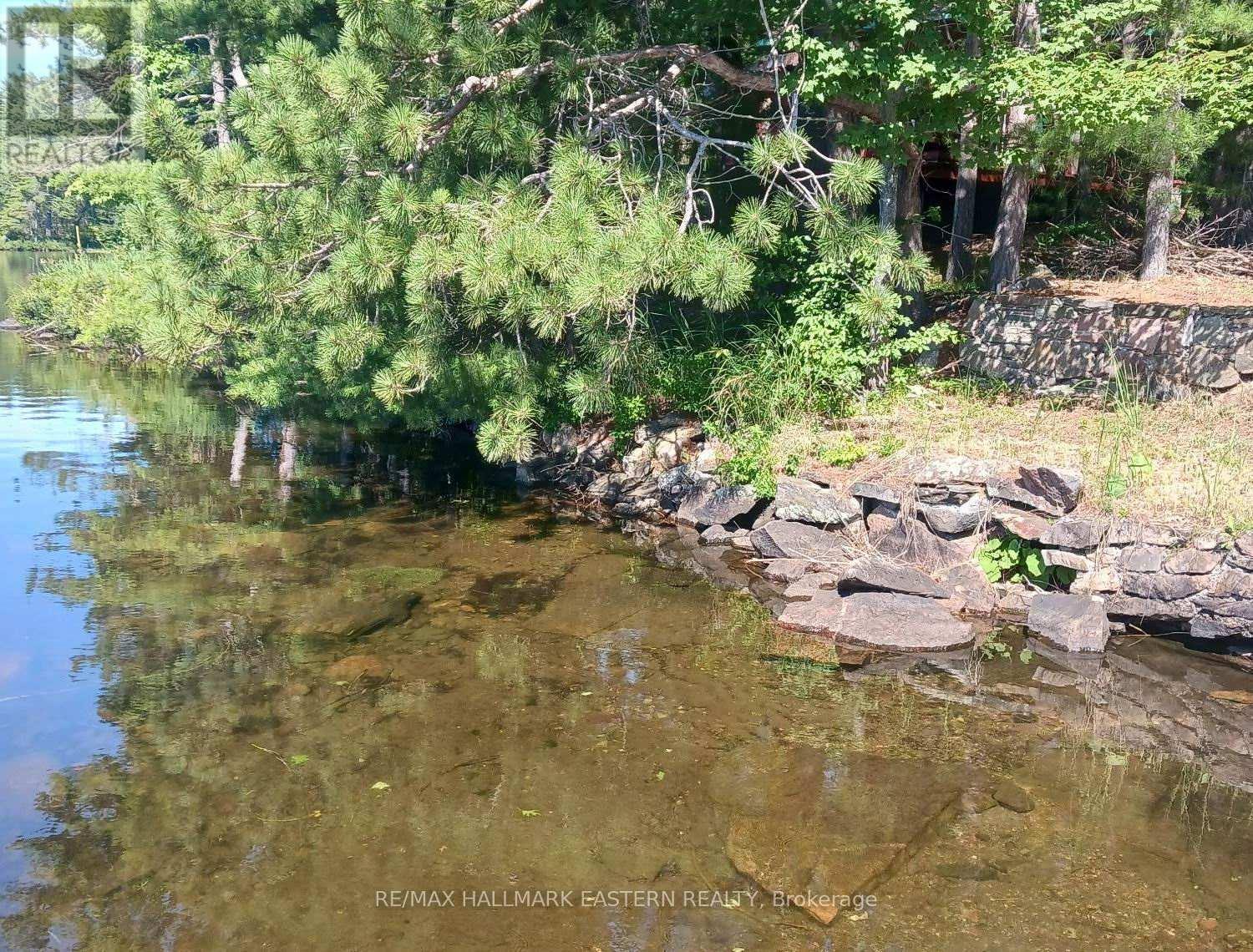 17 Fire Route 92A, Havelock-Belmont-Methuen (Belmont-Methuen), ON - Outdoor With Body Of Water