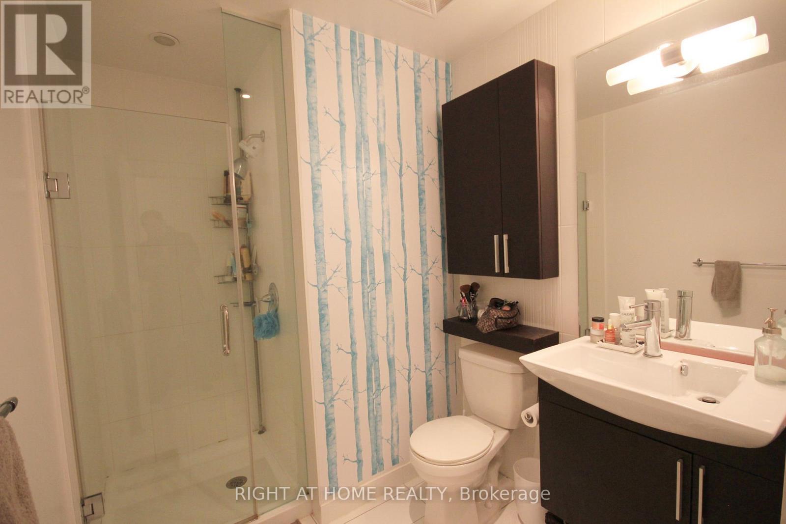 310 - 25 Capreol Court, Toronto, ON - Indoor Photo Showing Bathroom