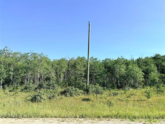 0 Ukrainian Park Rd, Gimli, MB