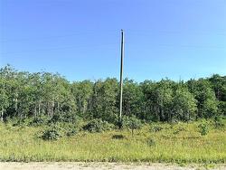 0 Ukrainian Park RD Gimli, MB R0C 1B0