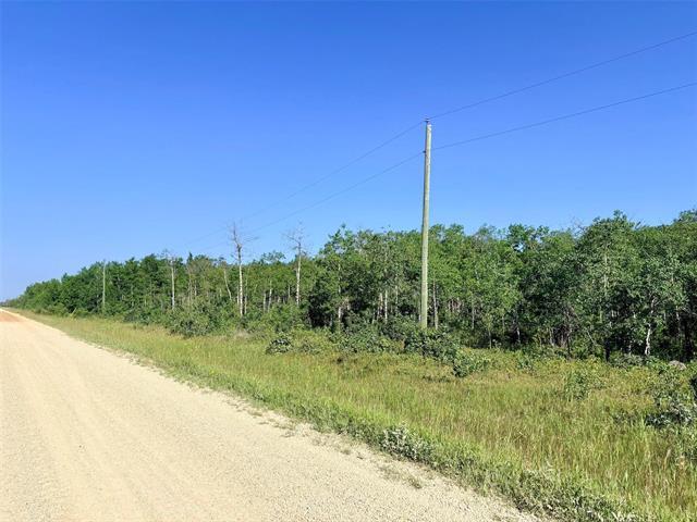 0 Ukrainian Park Rd, Gimli, MB