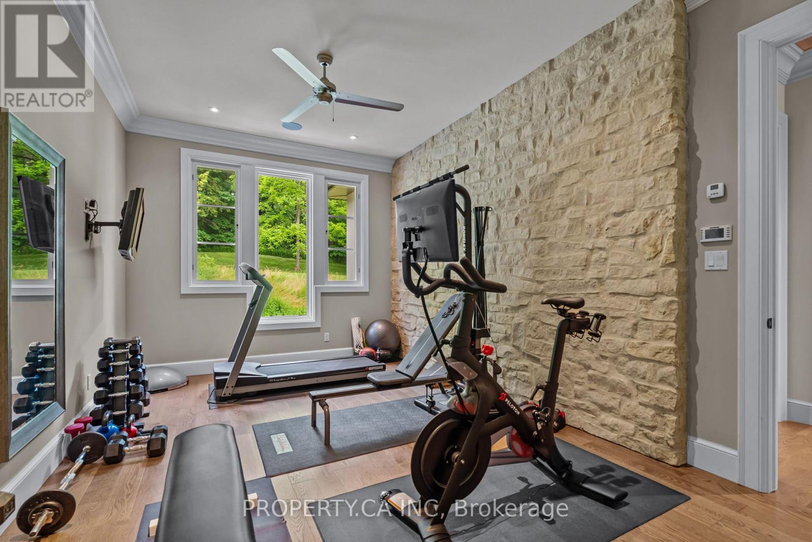 10955 Old River Road, Middlesex Centre, ON - Indoor Photo Showing Gym Room