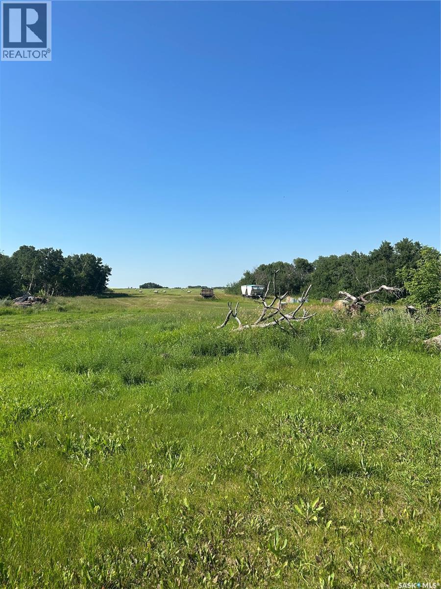 Bjerke Acreage, Kellross Rm No. 247, SK - Outdoor With View