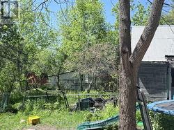 back yard with second building -