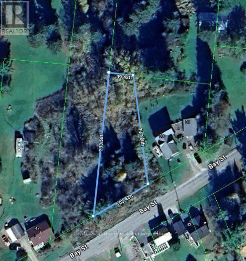 Approximate Lot Lines over Google Maps - 0 Bay Street, Magnetawan, ON