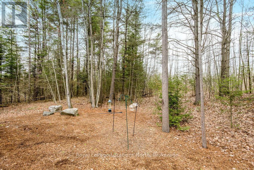119 Earl Street, Wasaga Beach, ON - Outdoor With View