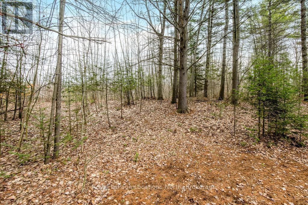 119 Earl Street, Wasaga Beach, ON - Outdoor With View