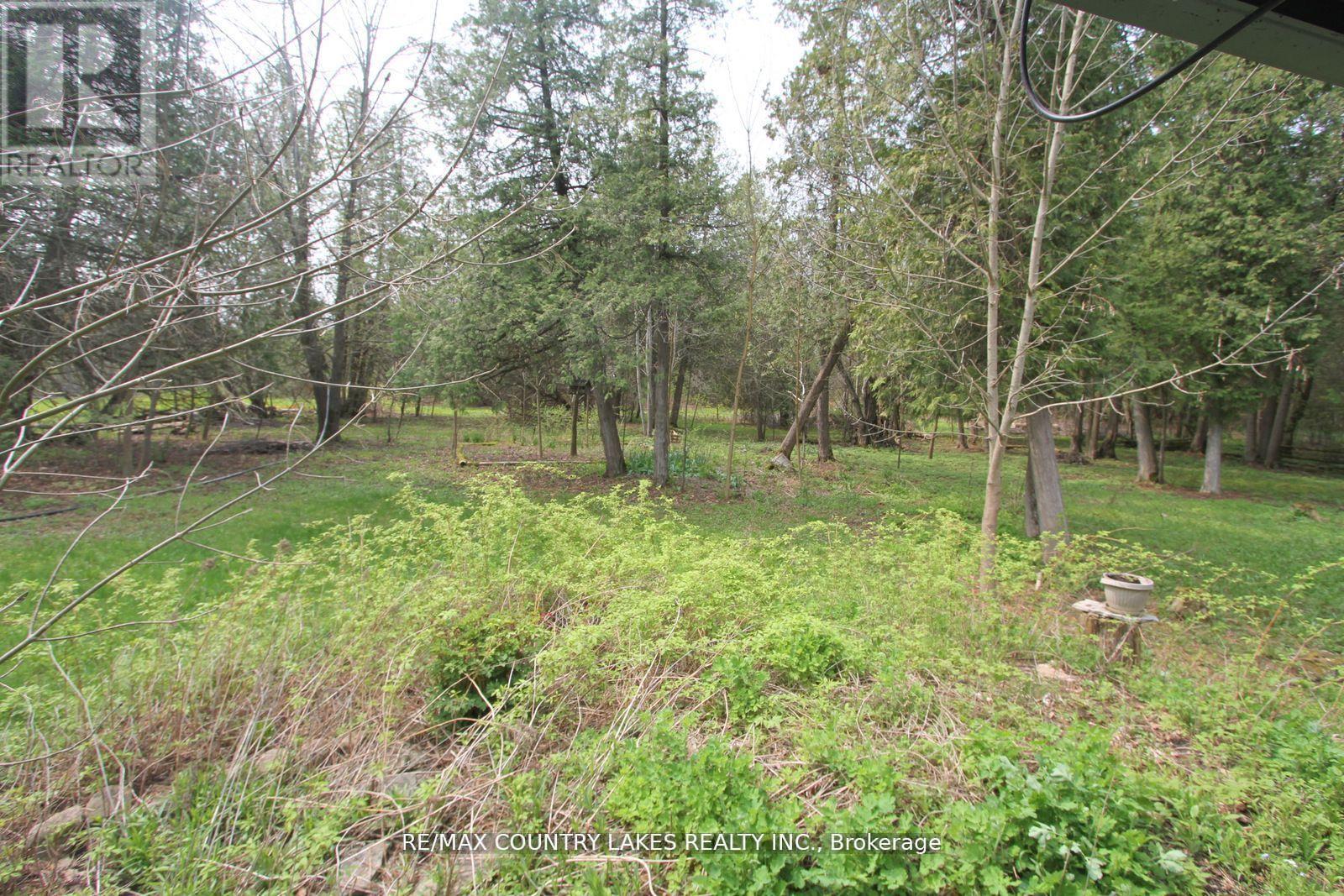 B40440 Shore Road, Brock, ON - Outdoor