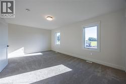 Carpeted room featuring two windows with white trim, a flush-mount ceiling light fixture, and a solid interior door with black hardware -