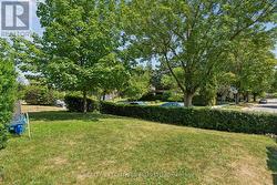 Front Yard -