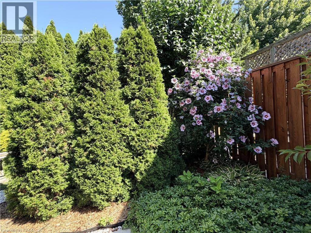 Perennials, and mature trees in this ultra private backyard. - 7 Mann Avenue, Simcoe, ON - Outdoor